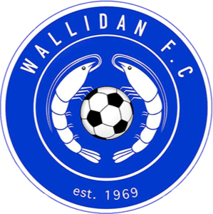 Wallidan